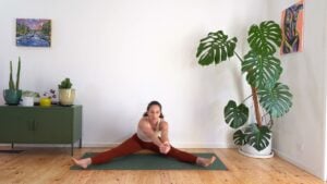 Pregnancy yoga flow