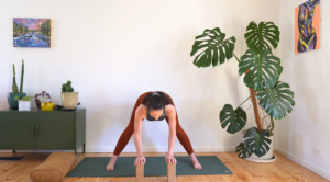 Mobility circuit for pregnancy- hamstrings, shoulder opening, squat mobility