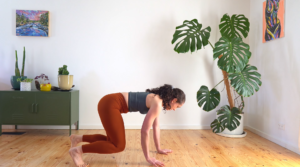 Movement Practice Crawling - Postpartum