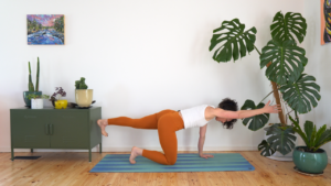 Strength Circuit Core & Lower body - Pregnancy