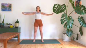 Strength Circuit Pregnancy - Upper body resistance band and core