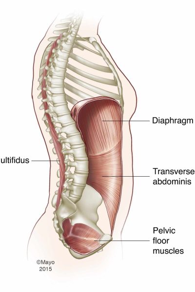 Core-Muscles